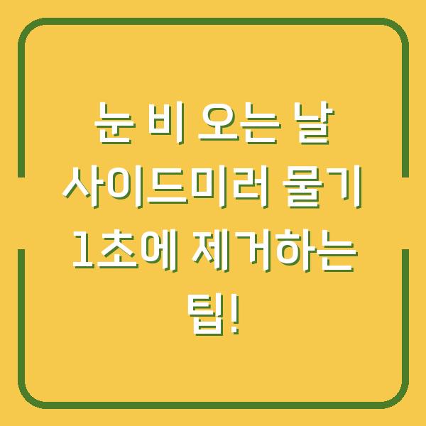 눈 비 오는 날 사이드미러 물기 1초에 제거하는 팁!