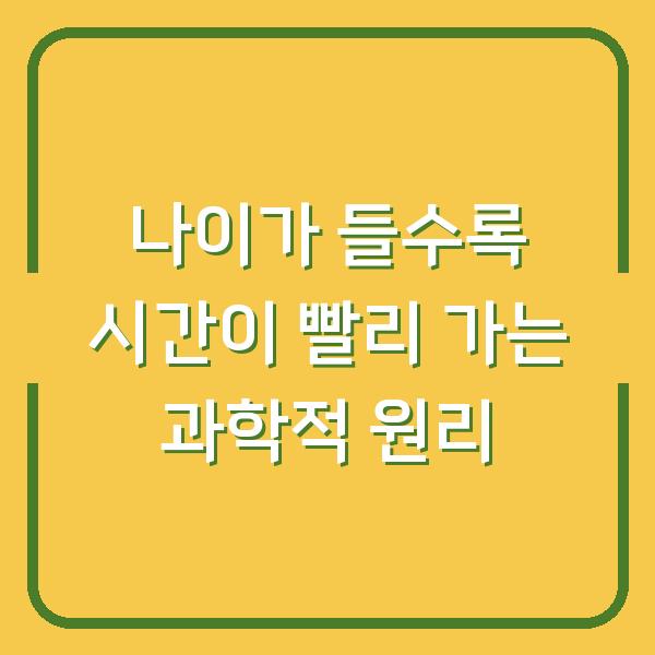 나이가 들수록 시간이 빨리 가는 과학적 원리
