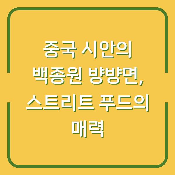 중국 시안의 백종원 뱡뱡면, 스트리트 푸드의 매력