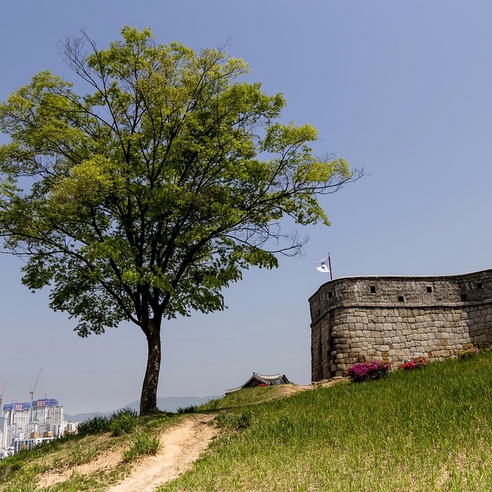 수원 정자시장