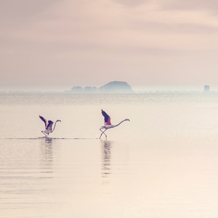 수경 자연 건조