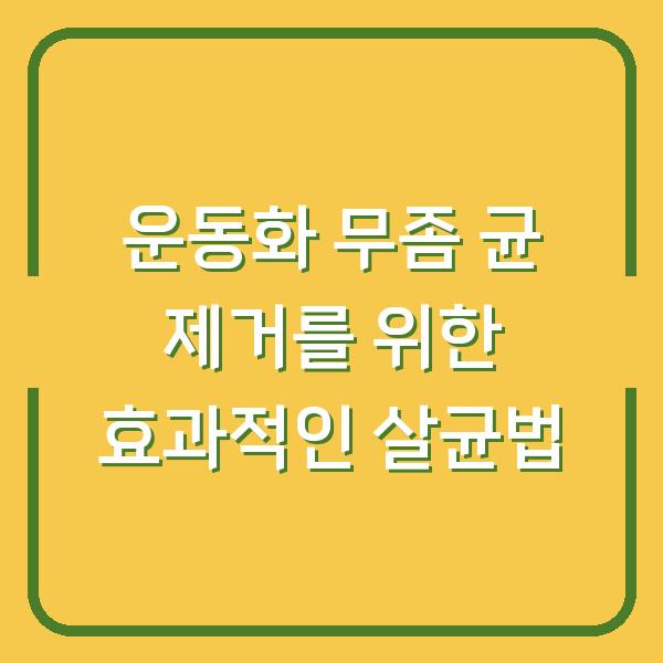 운동화 무좀 균 제거를 위한 효과적인 살균법