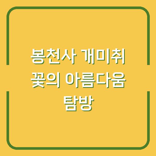 봉천사 개미취 꽃의 아름다움 탐방
