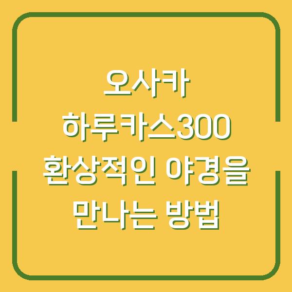오사카 하루카스300 환상적인 야경을 만나는 방법