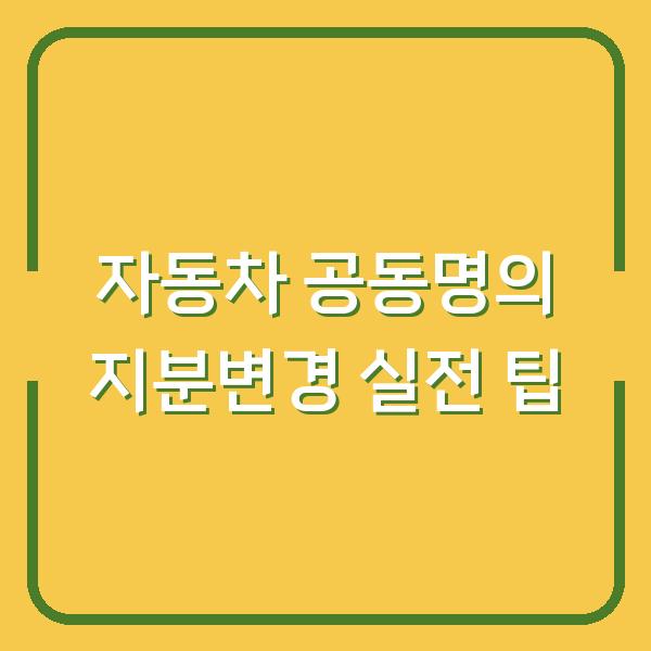 자동차 공동명의 지분변경 실전 팁