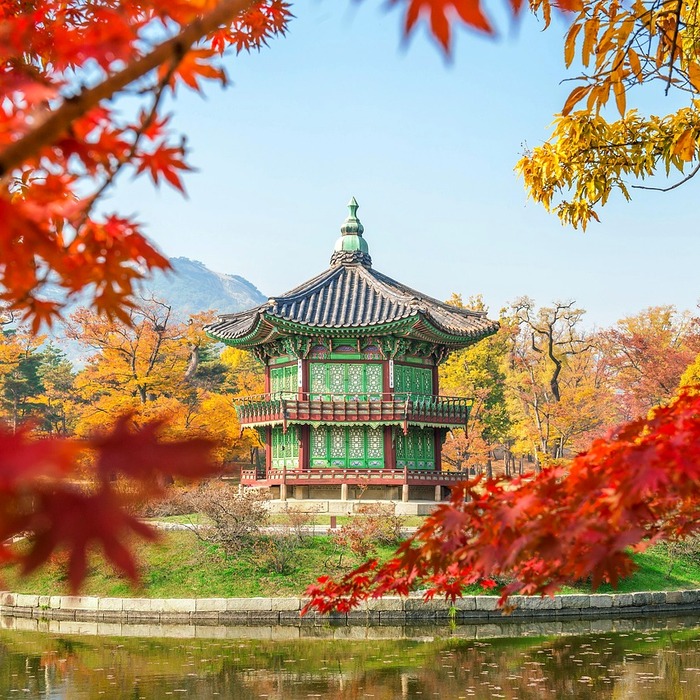 한국 대표팀