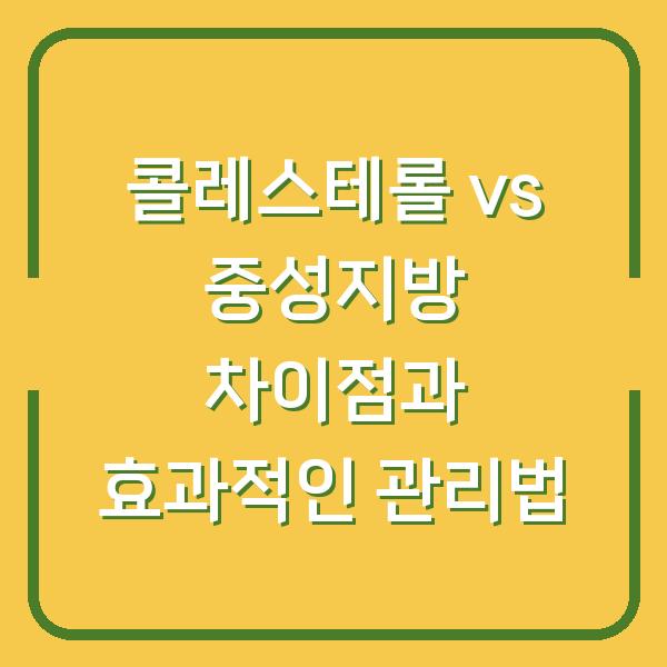 콜레스테롤 vs 중성지방 차이점과 효과적인 관리법