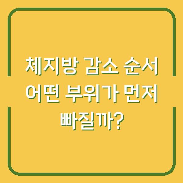 체지방 감소 순서 어떤 부위가 먼저 빠질까?