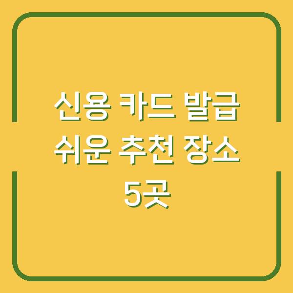 신용 카드 발급 쉬운 추천 장소 5곳