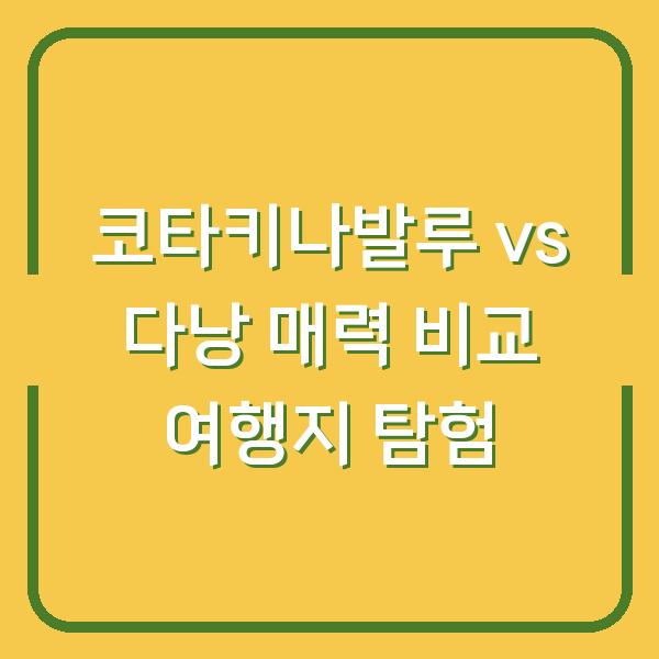 코타키나발루 vs 다낭 매력 비교 여행지 탐험