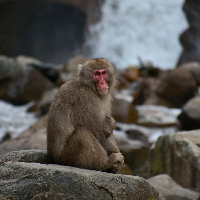 일본 온천 풍경