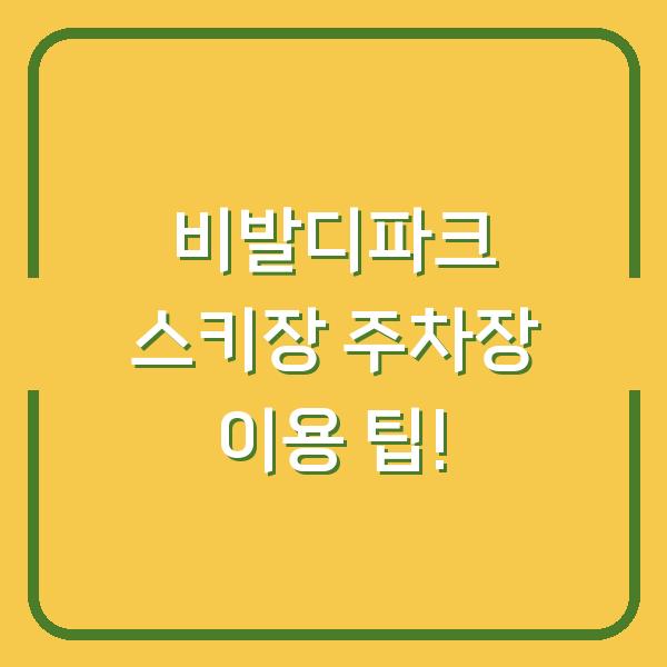 비발디파크 스키장 주차장 이용 팁!