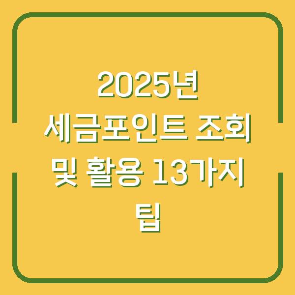 2025년 세금포인트 조회 및 활용 13가지 팁