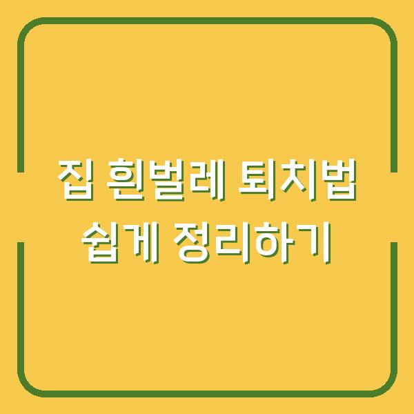 집 흰벌레 퇴치법 쉽게 정리하기