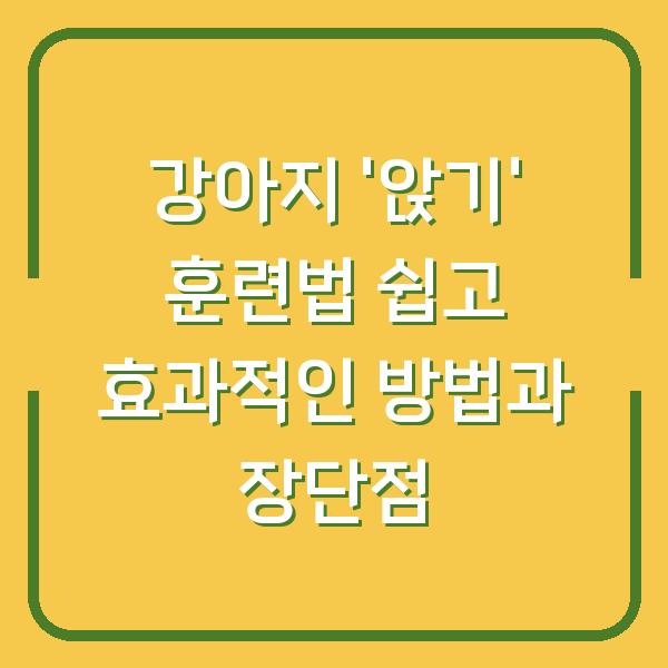 강아지 ‘앉기’ 훈련법 쉽고 효과적인 방법과 장단점