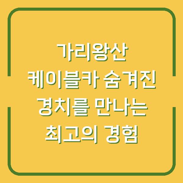 가리왕산 케이블카 숨겨진 경치를 만나는 최고의 경험
