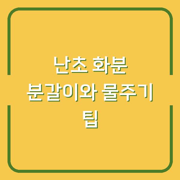 난초 화분 분갈이와 물주기 팁