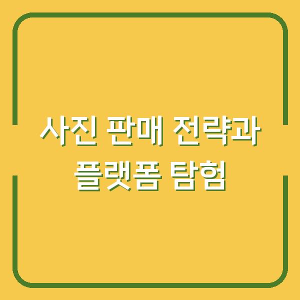 사진 판매 전략과 플랫폼 탐험