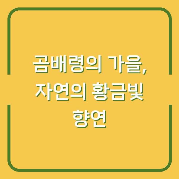 곰배령의 가을, 자연의 황금빛 향연