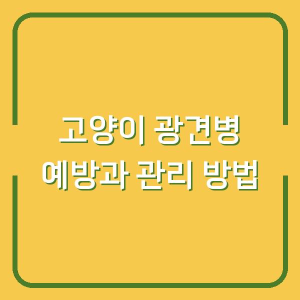 고양이 광견병 예방과 관리 방법