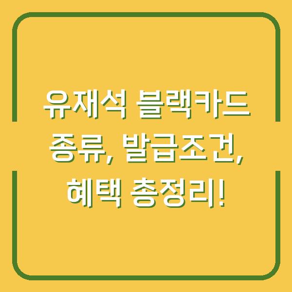 유재석 블랙카드 종류, 발급조건, 혜택 총정리!