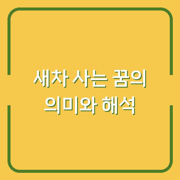 새차 사는 꿈의 의미와 해석