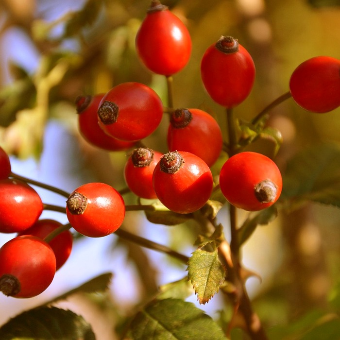 간염 감염 경로