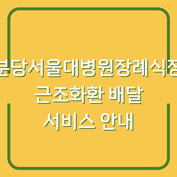 분당서울대병원장례식장 근조화환 배달 서비스 안내
