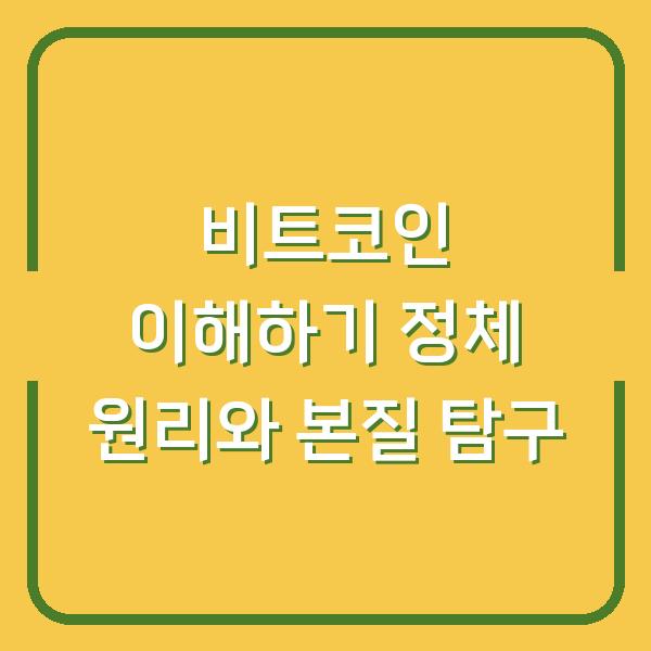비트코인 이해하기 정체 원리와 본질 탐구
