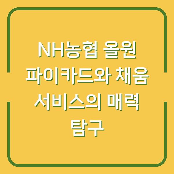 NH농협 올원 파이카드와 채움 서비스의 매력 탐구