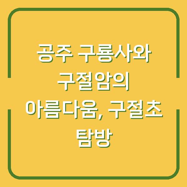 공주 구룡사와 구절암의 아름다움, 구절초 탐방