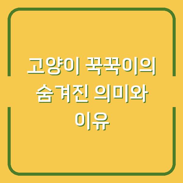 고양이 꾹꾹이의 숨겨진 의미와 이유