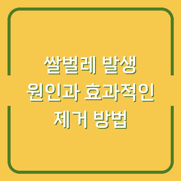 쌀벌레 발생 원인과 효과적인 제거 방법