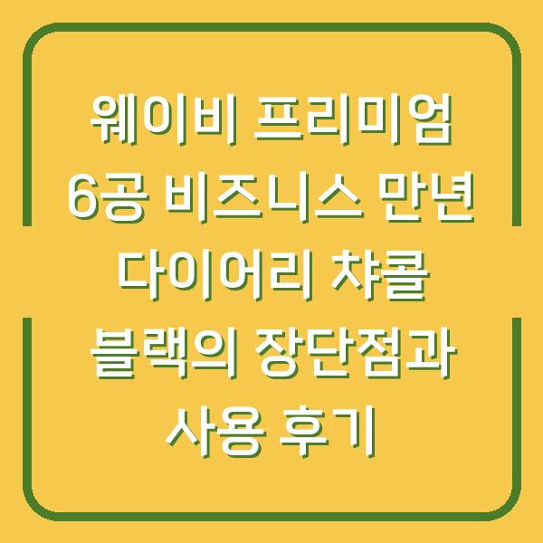 웨이비 프리미엄 6공 비즈니스 만년 다이어리 챠콜 블랙의 장단점과 사용 후기