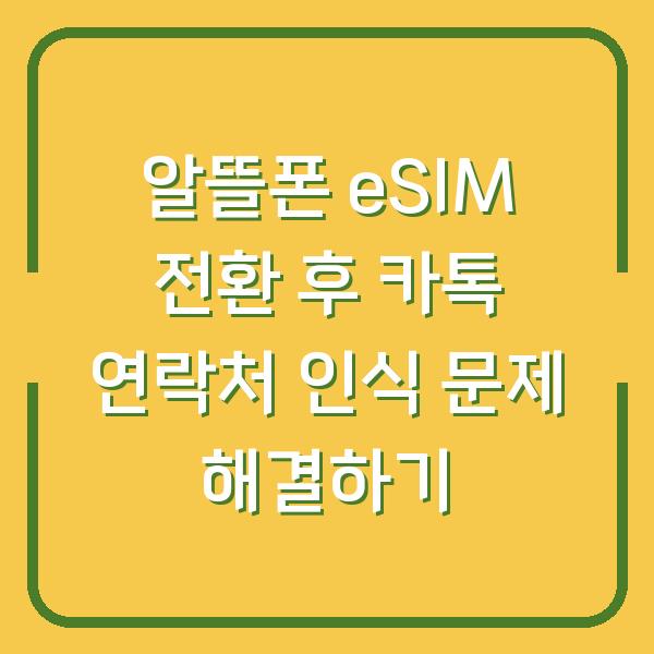 알뜰폰 eSIM 전환 후 카톡 연락처 인식 문제 해결하기