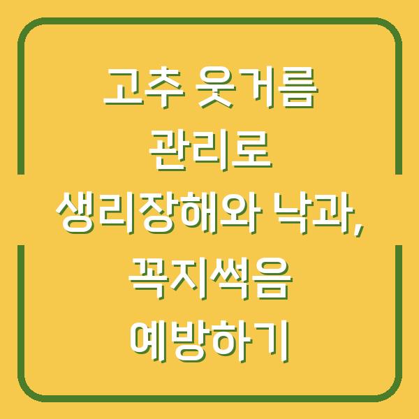 고추 웃거름 관리로 생리장해와 낙과, 꼭지썩음 예방하기