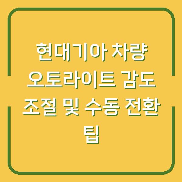 현대기아 차량 오토라이트 감도 조절 및 수동 전환 팁