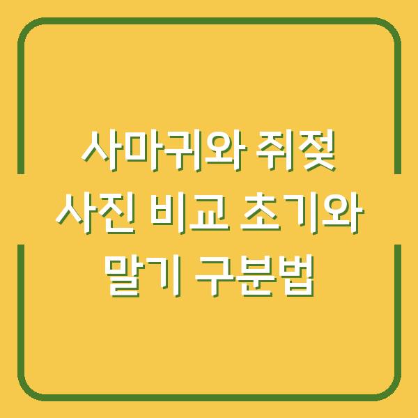 사마귀와 쥐젖 사진 비교 초기와 말기 구분법
