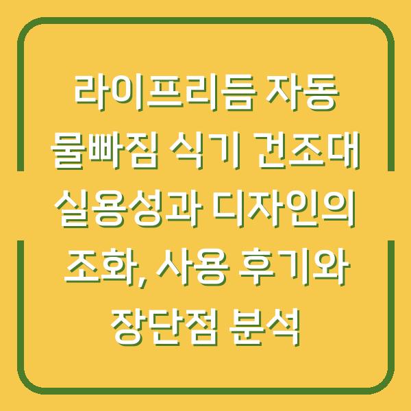 라이프리듬 자동 물빠짐 식기 건조대 실용성과 디자인의 조화, 사용 후기와 장단점 분석