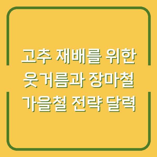 고추 재배를 위한 웃거름과 장마철 가을철 전략 달력