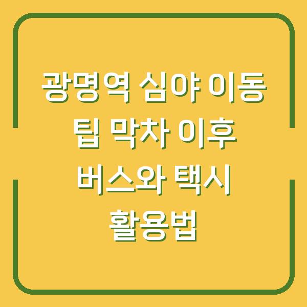 광명역 심야 이동 팁 막차 이후 버스와 택시 활용법