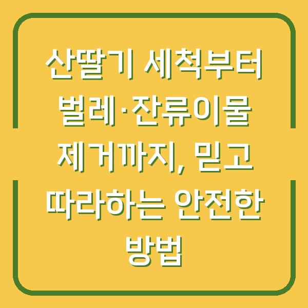 산딸기 세척부터 벌레·잔류이물 제거까지, 믿고 따라하는 안전한 방법