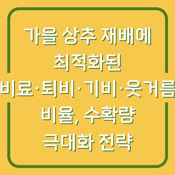 가을 상추 재배에 최적화된 비료·퇴비·기비·웃거름 비율, 수확량 극대화 전략