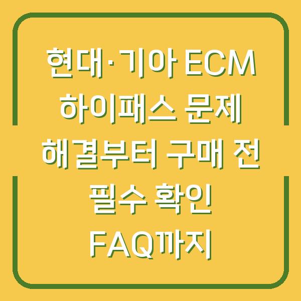 현대·기아 ECM 하이패스 문제 해결부터 구매 전 필수 확인 FAQ까지