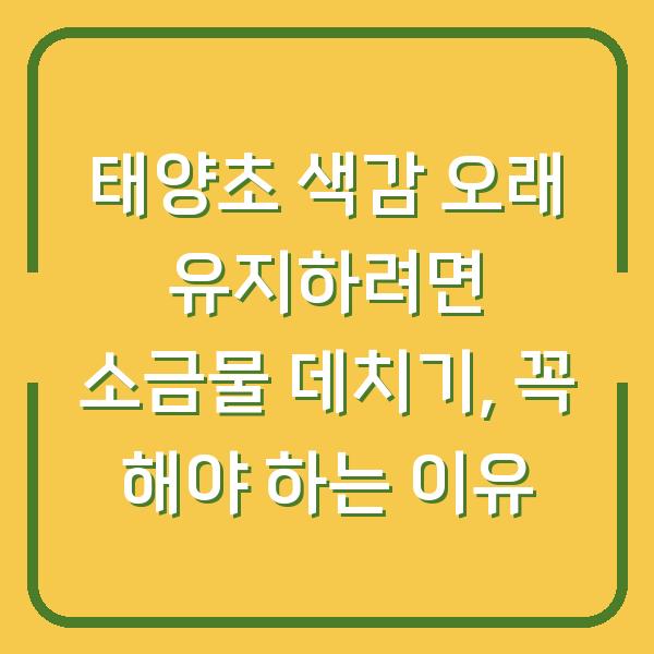 태양초 색감 오래 유지하려면 소금물 데치기, 꼭 해야 하는 이유