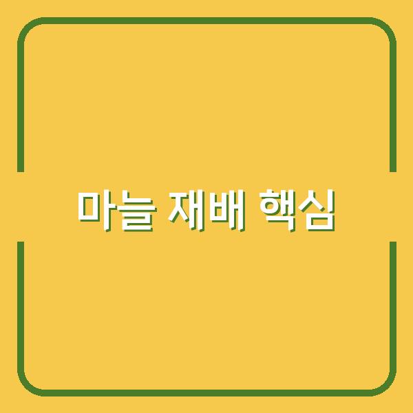 한지형·난지형 마늘 심는 시기와 재배법, 수확량 높이는 핵심 포인트