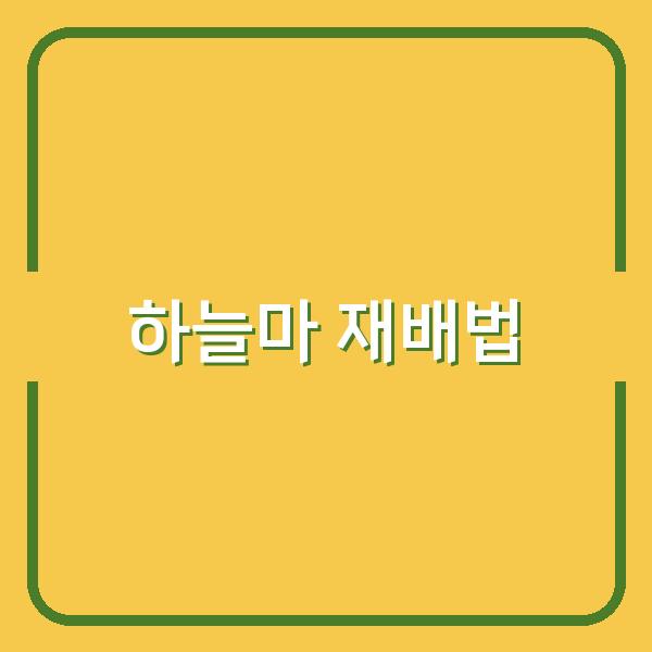 하늘마 재배, 언제 심고 어떻게 키워야 수확까지 성공할까?