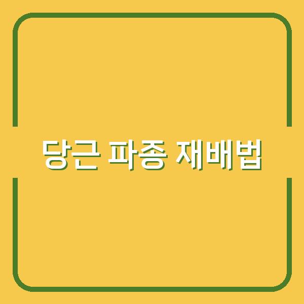 봄·가을 당근 파종 시기와 성공 확률 높이는 핵심 재배법 공개