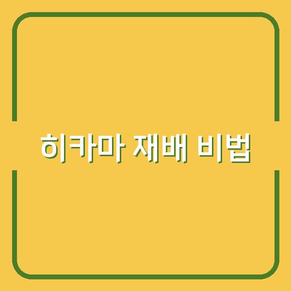 히카마 재배의 모든 것 최적의 심기 시기와 수확 후 보관 비법