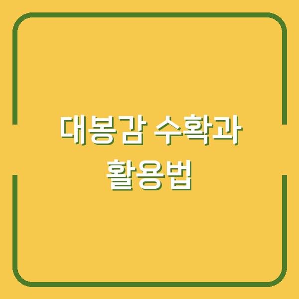 대봉감 수확시기와 홍시 만드는 법 최고의 감을 고르는 팁과 활용법